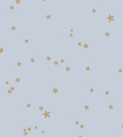 Color – Metallic Gold on Ice Blue