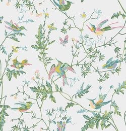 Color – Green & Pink