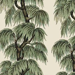 Color – Papyrus / Willow