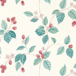 Color – Raspberry