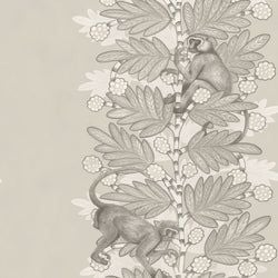 Color – Taupe & White on Stone
