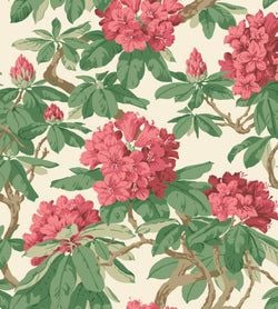 Color – Cerise, Leaf Green on White