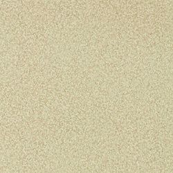 Color – Fossil