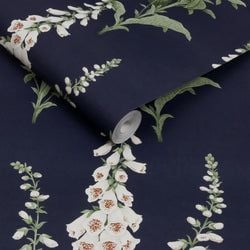 Color – Midnight