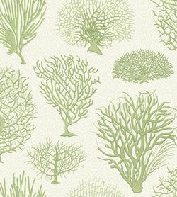 Color – Olive Green on White