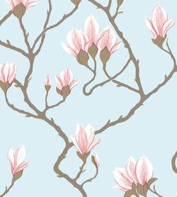 Color – Rose on Sky Blue