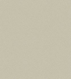 Color – Safari