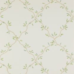 Color – Ivory/Green