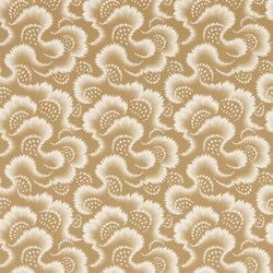 Color – Fossil