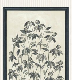 Color – Charcoal & Parchment