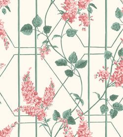 Color – Coral & Sage on White