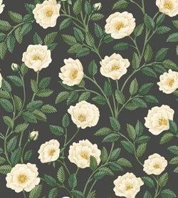 Color – Cream & Forest Green on Charcoal