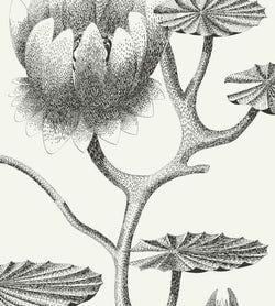 Color – Black on White