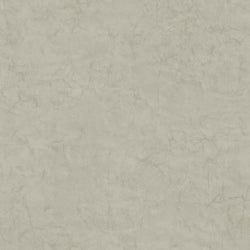Color – Concrete