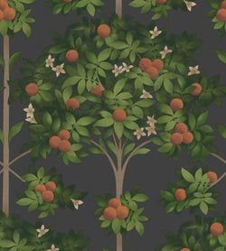 Color – Orange & Spring Green on Black