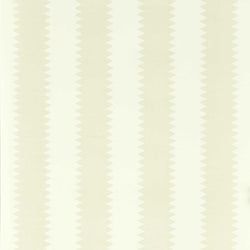 Color – Bone