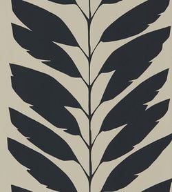 Color – Liquorice