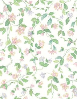 Color – Blush, Sage, & Mulberry on Cream