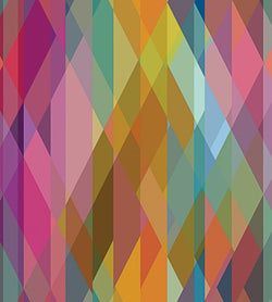 Color – Bright Multi on Fuchsia