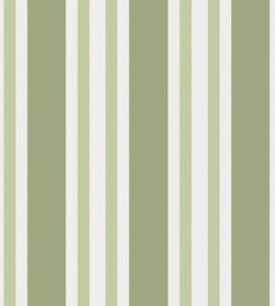 Color – Olive Green