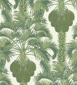 Color – Forest Green on Cream