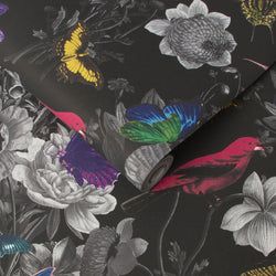 Color – Black