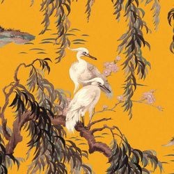Color – Ochre