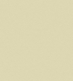 Color – Cream