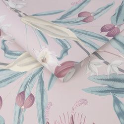 Color – Blush