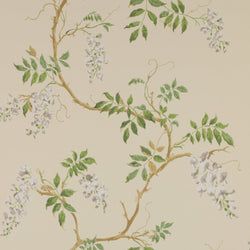 Color – Cream