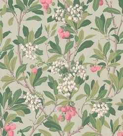 Color – Chalk, Rose & Forest Green on Eau Du Nil