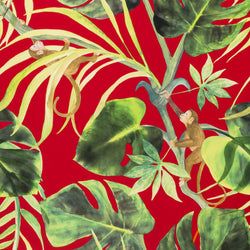 Color – Rouge