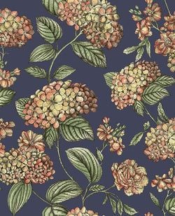 Color – Coral on Dark Blue