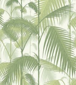 Olive Green on White