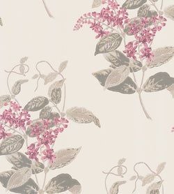 Color – Fuchsia & Linen on Parchment