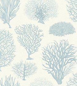 Color – Ice Blue on Chalk
