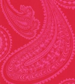Color – Fuchsia on Rouge