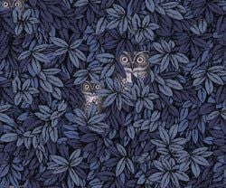 Color – Midnight