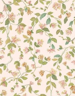 Color – Tangerine & Olive on Blush