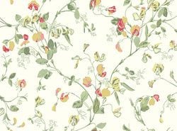 Color – Yellow & Coral on Cream
