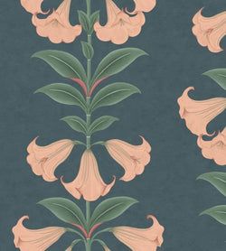 Color – Coral & Viridian on Ink