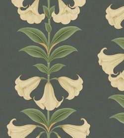 Color – Cream & Olive Green on Charcoal
