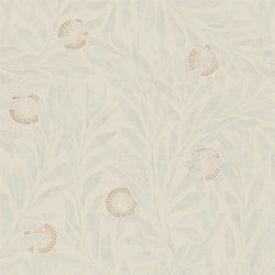 Color – Dove