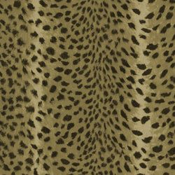 Color – Auric