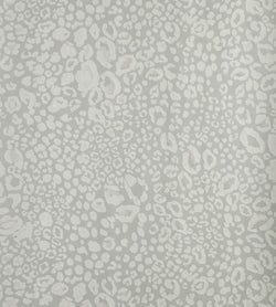 Color – Silver