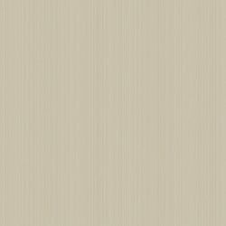 Color – Mica Stone