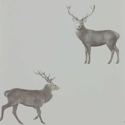 Color – Silver Grey