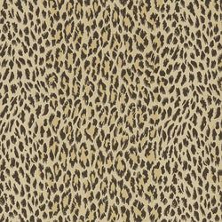 Color – Butterscotch