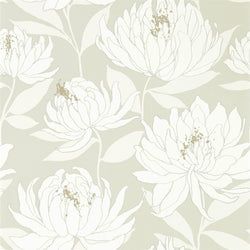 Color – Earth/Silver