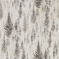 Color – Elder Bark